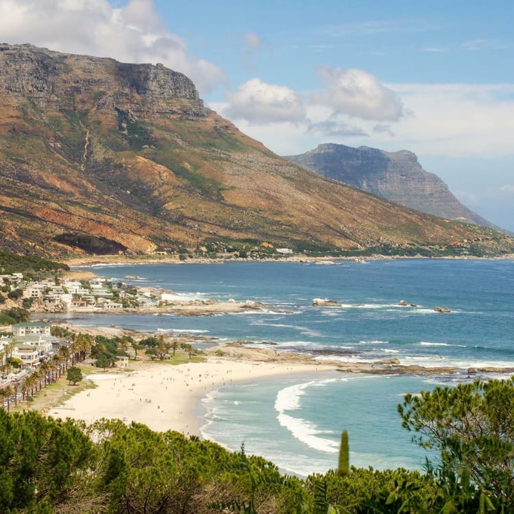 salsify-at-the-roundhouse-camps-bay